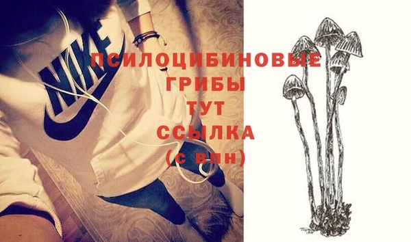 крисы Арсеньев