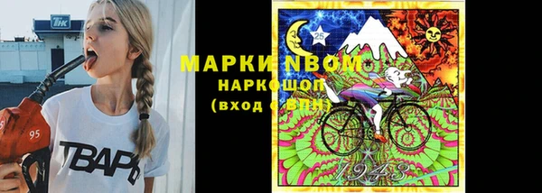 крисы Арсеньев