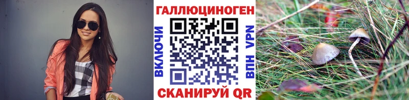 Галлюциногенные грибы Magic Shrooms  даркнет состав  Крым 